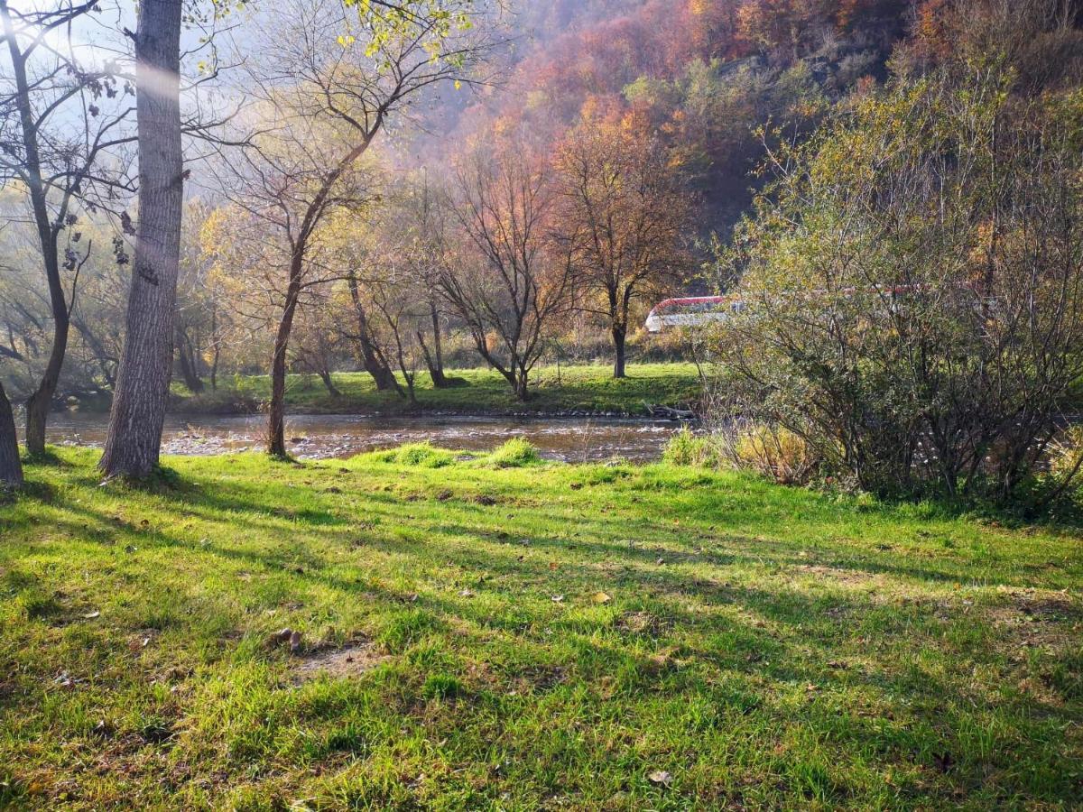 Casute Zavoi Bulz Villa Luaran gambar