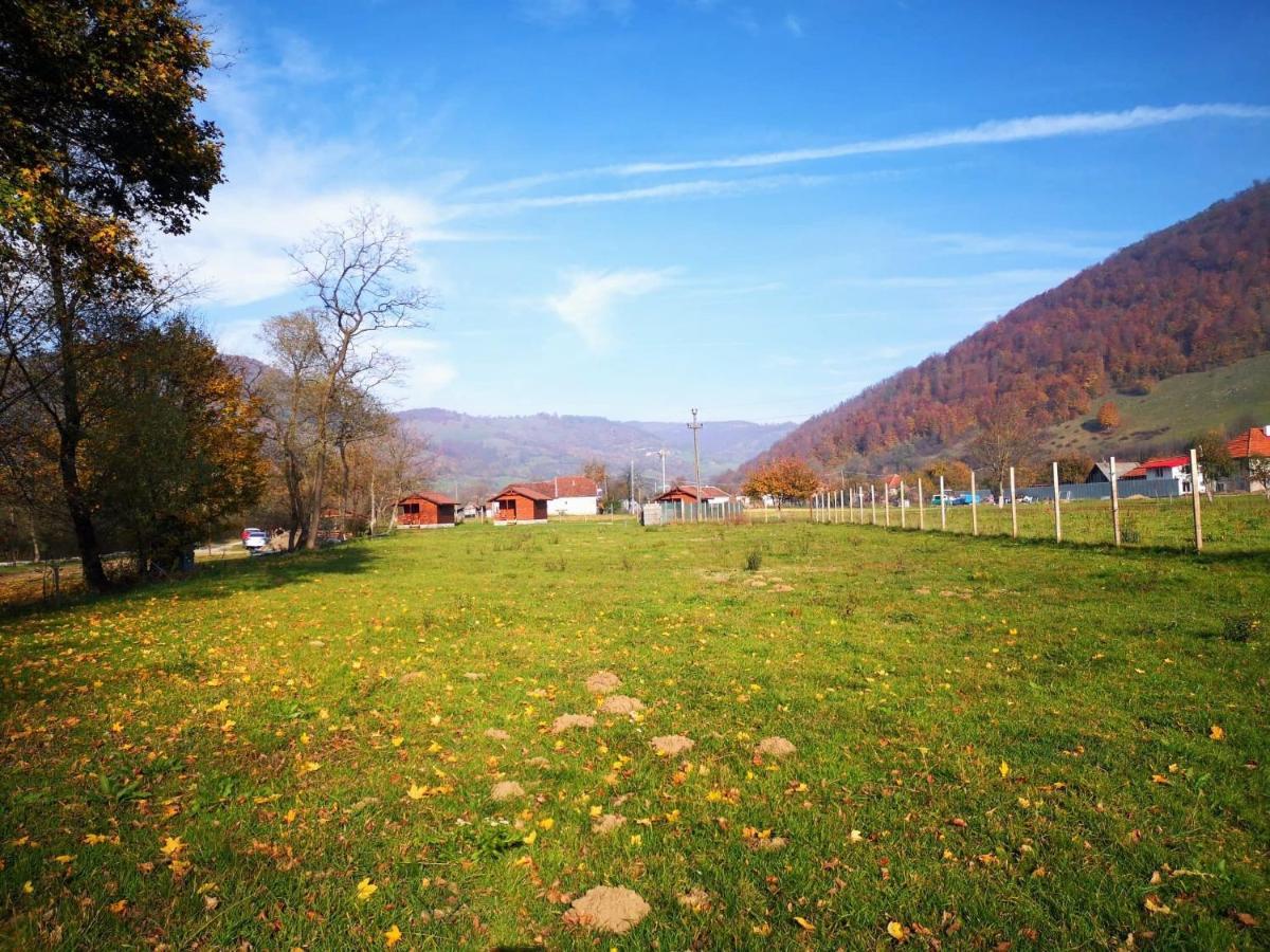 Casute Zavoi Bulz Villa Luaran gambar
