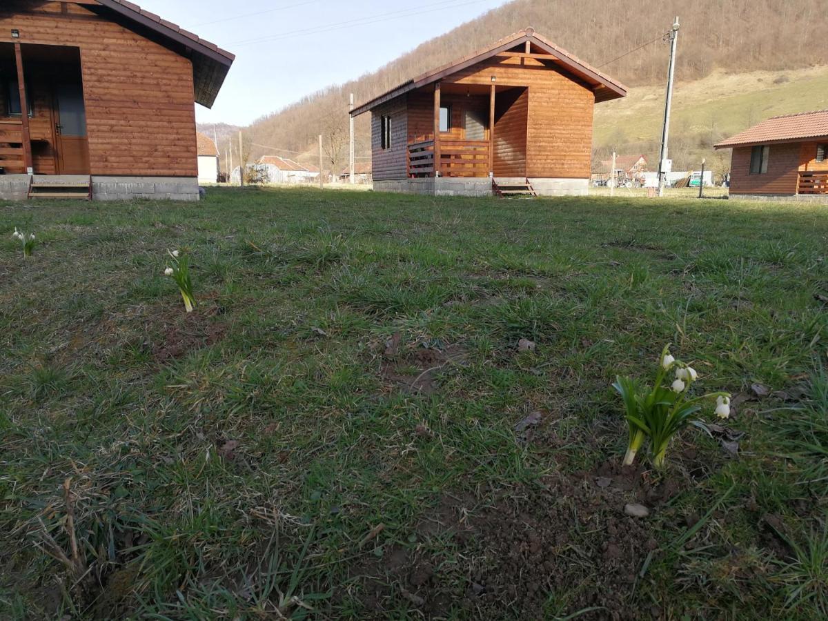 Casute Zavoi Bulz Villa Luaran gambar