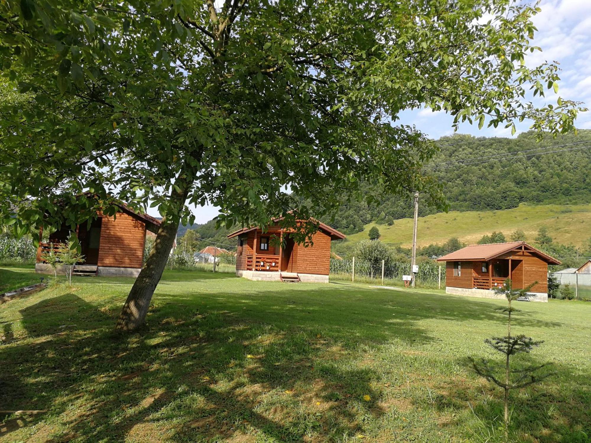 Casute Zavoi Bulz Villa Luaran gambar