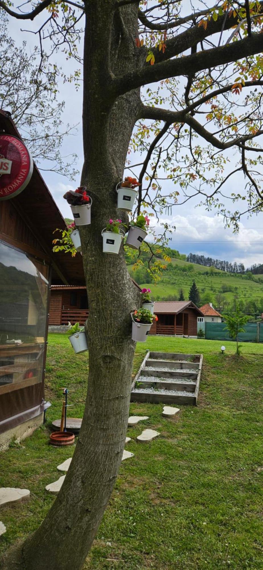 Casute Zavoi Bulz Villa Luaran gambar
