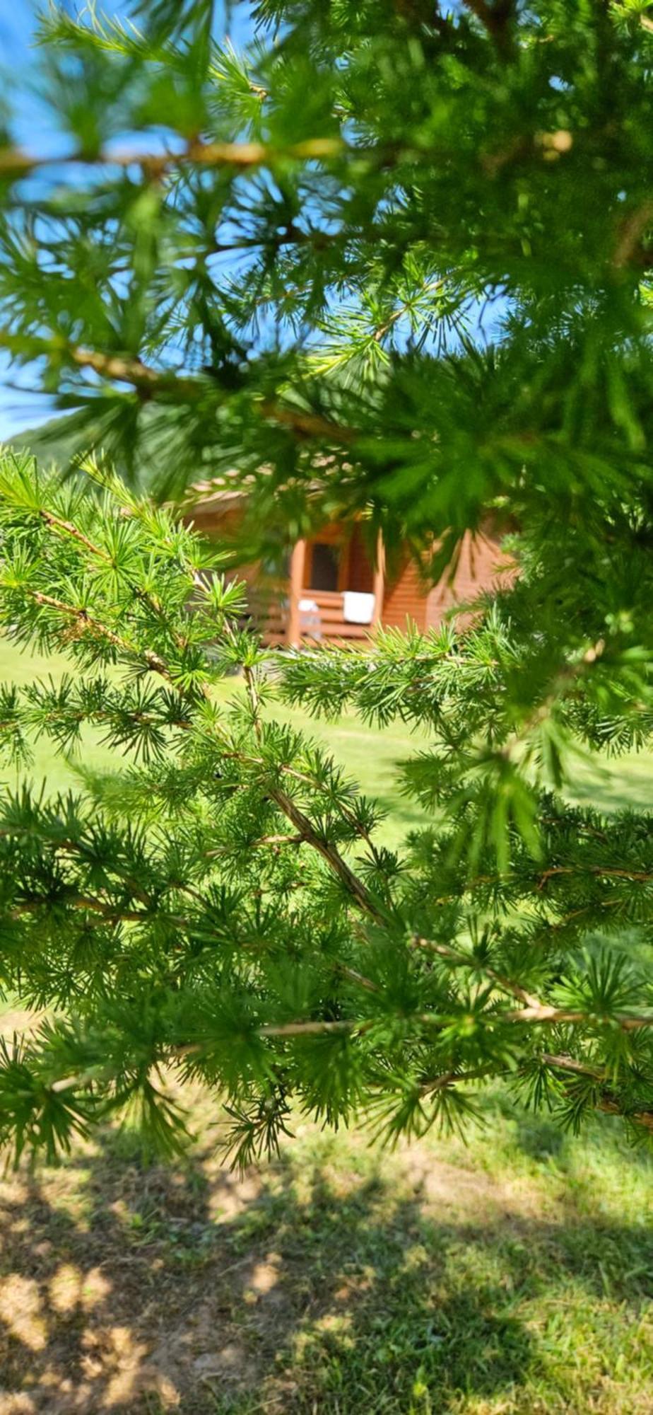 Casute Zavoi Bulz Villa Luaran gambar