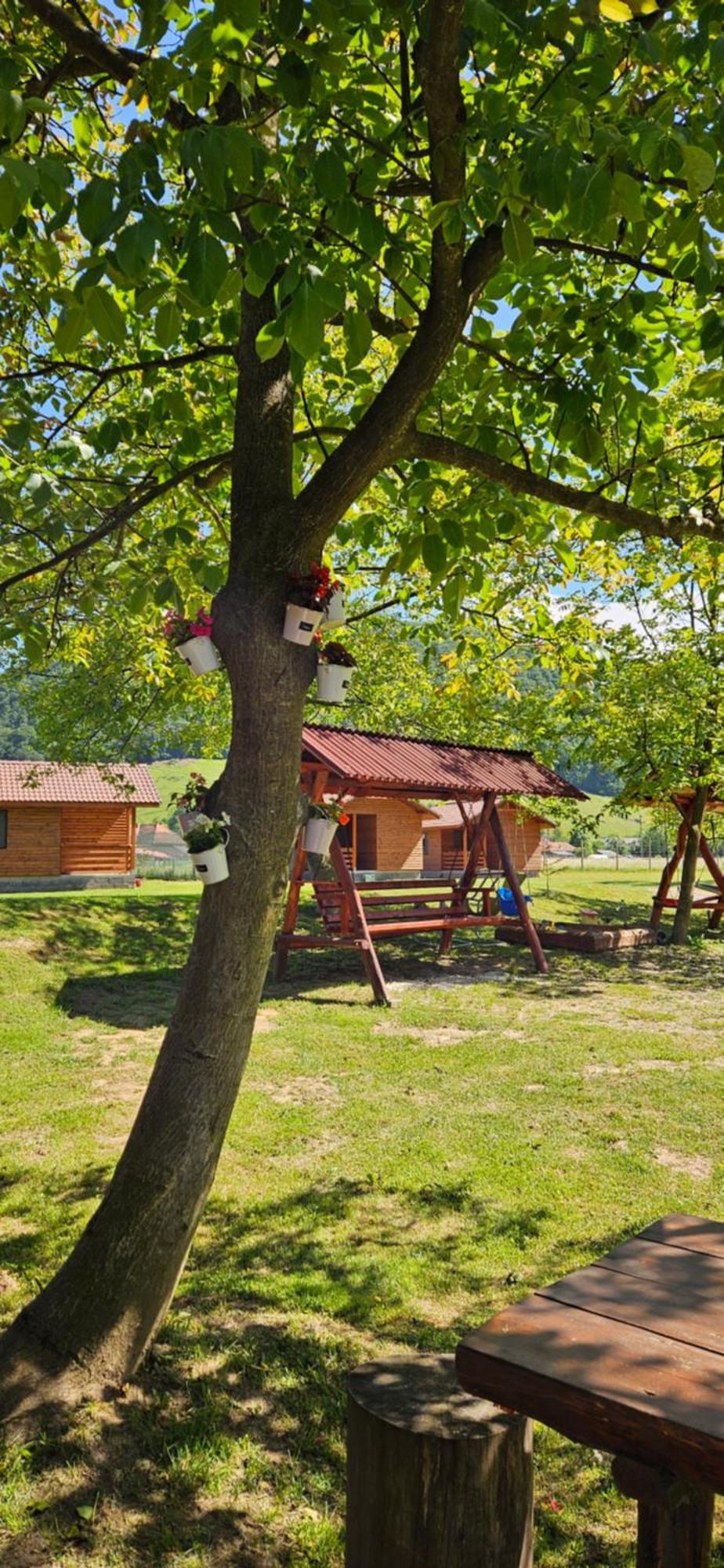 Casute Zavoi Bulz Villa Luaran gambar